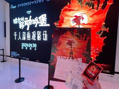 -浣熊唱片店(上海影城店)