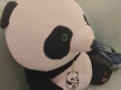 -眉州东坡·熊猫主题餐厅(枫蓝店)