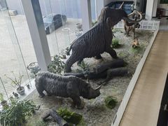 -中国第四纪冰川遗迹陈列馆