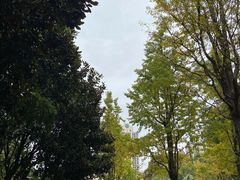 -苏州河梦清园环保主题公园