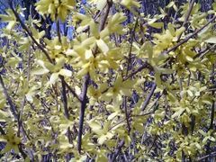 -长春公园(普阳街道)