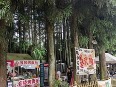 -武陵山森林公园