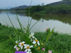 -风云岭森林公园