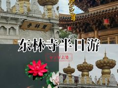 -上海东林寺(金山区)