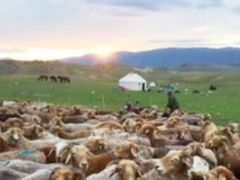 -新疆天山野生动物园