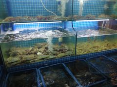 水产区-老东镇啤酒屋海鲜加工·蒸汽海鲜·海鲜烧烤(台东店)