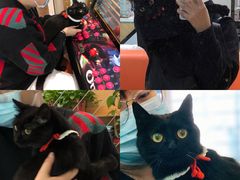 -pd派德宠物中心医院24H急重症·眼科中心·血液透析中心(嵩山北路店)