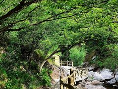 -洛阳白云山景区