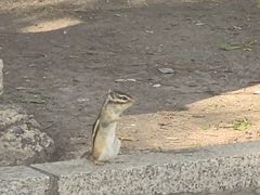 -长春市南湖公园