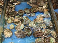 -添福来墨鱼饺子 · 海鲜东北菜(大连星海·黄浦路店)