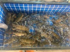 -星记小馆·小蓝龙·老南京砂锅菜(上海路店)
