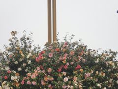 -长沙火车站(地铁站)