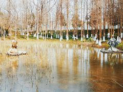 -西溪国家湿地公园