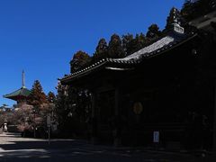 -成田山新胜寺