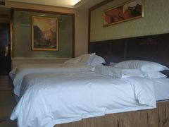 -维也纳国际酒店·广西桂林中山路店