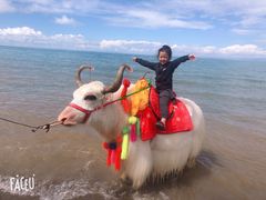 -青海湖国家重点风景名胜区