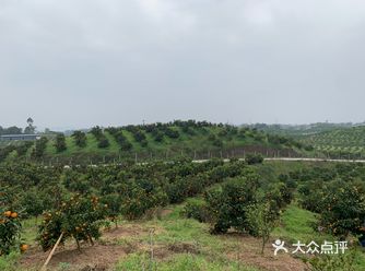 主城南岸开过去大概一个小时左右，有很大的一个停车场