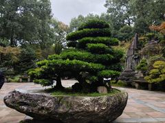 -南山植物园