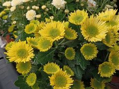 -共青国家森林公园-售票处