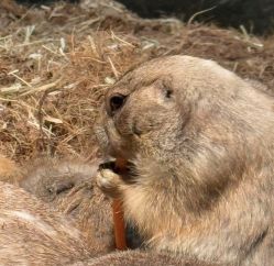 -Zoolung Zoolung动物主题公园(海信广场店)