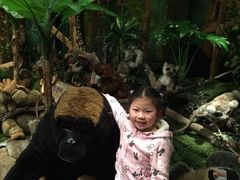 -济州岛泰迪熊博物馆