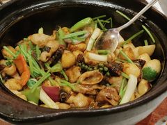 鲜花胶爽鱼肚啫海参-粤食堂(天津和悦汇店)
