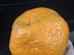 -卞氏菜根香·川菜(青羊万达店)