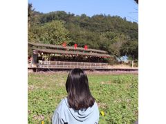 -红山村