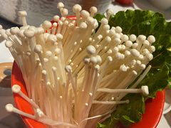 金针菇-今日炊牛·潮汕牛肉火锅(华采天地店)
