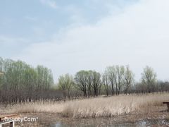 -东郊湿地公园