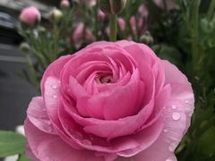 -衡山路(地铁站)