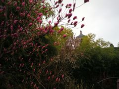 -大唐博相府酒店·陕西官府菜