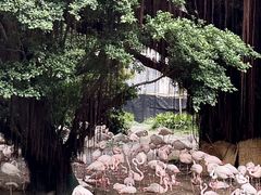-九龙公园