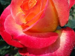 -人民公园(罗湖区)