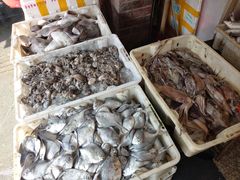 -芦潮港集贸市场