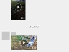 -趣玩宠物乐园寄养训犬训狗游泳池