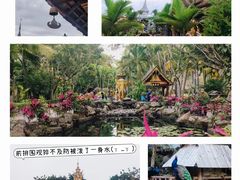 -西双版纳傣族园