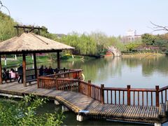 -圩墩遗址公园