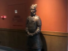-COSTA COFFEE(丰联广场店)