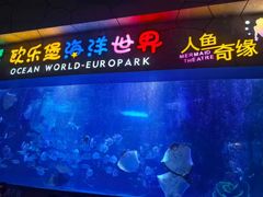 -泉城欧乐堡海洋极地世界