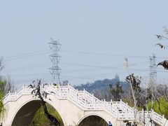 -广富林郊野公园