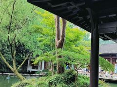 -杭州植物园