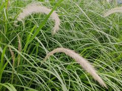 -福田农产品批发市场有限公司蔬菜交易区