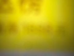 -近春园遗址