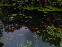 -宝光寺