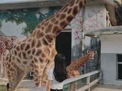 -贵州森林野生动物园