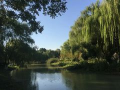 -昆山城市生态森林公园