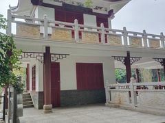 -金花茶公园