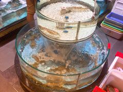 -强记海鲜·大排档(蛇口新街店)