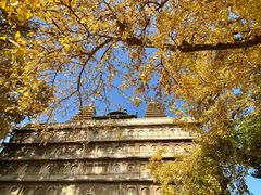 -北京石刻艺术博物馆(五塔寺)